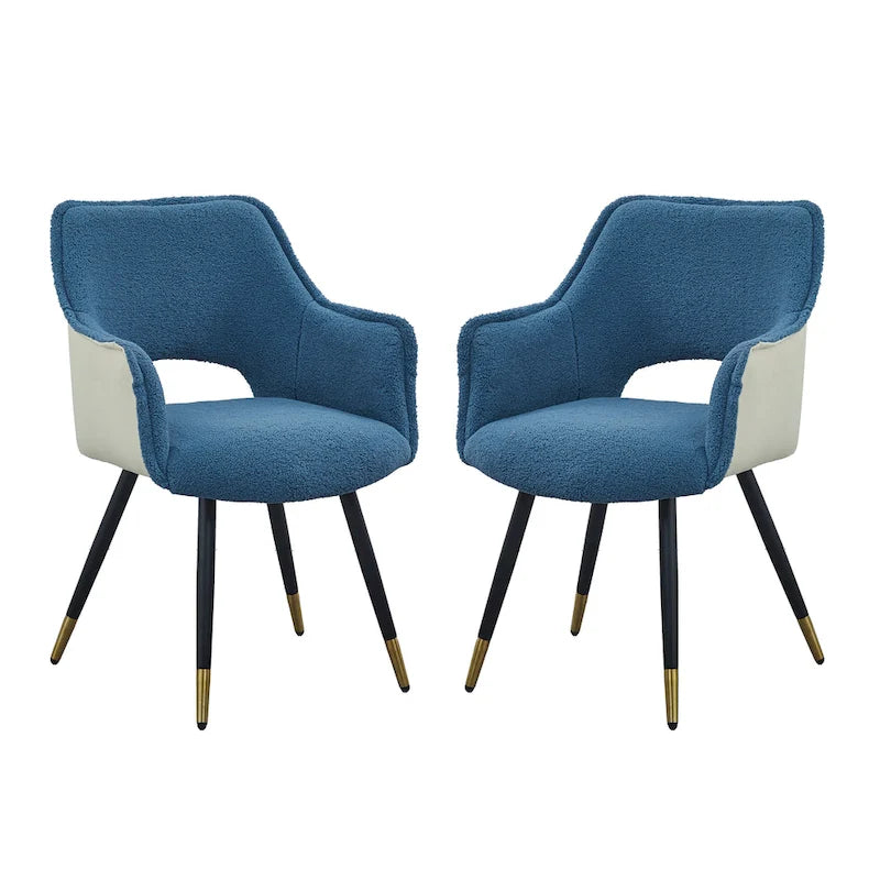 Blue Modern 23.2  Accent Chair (Set of 2)
